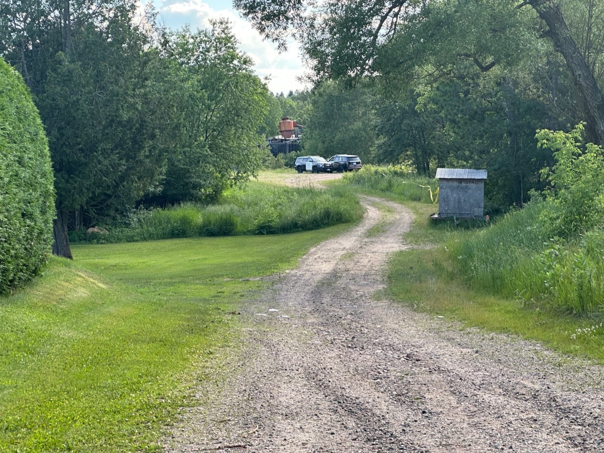 Teen charged with attempted murder as police rule out animal attack on young girl