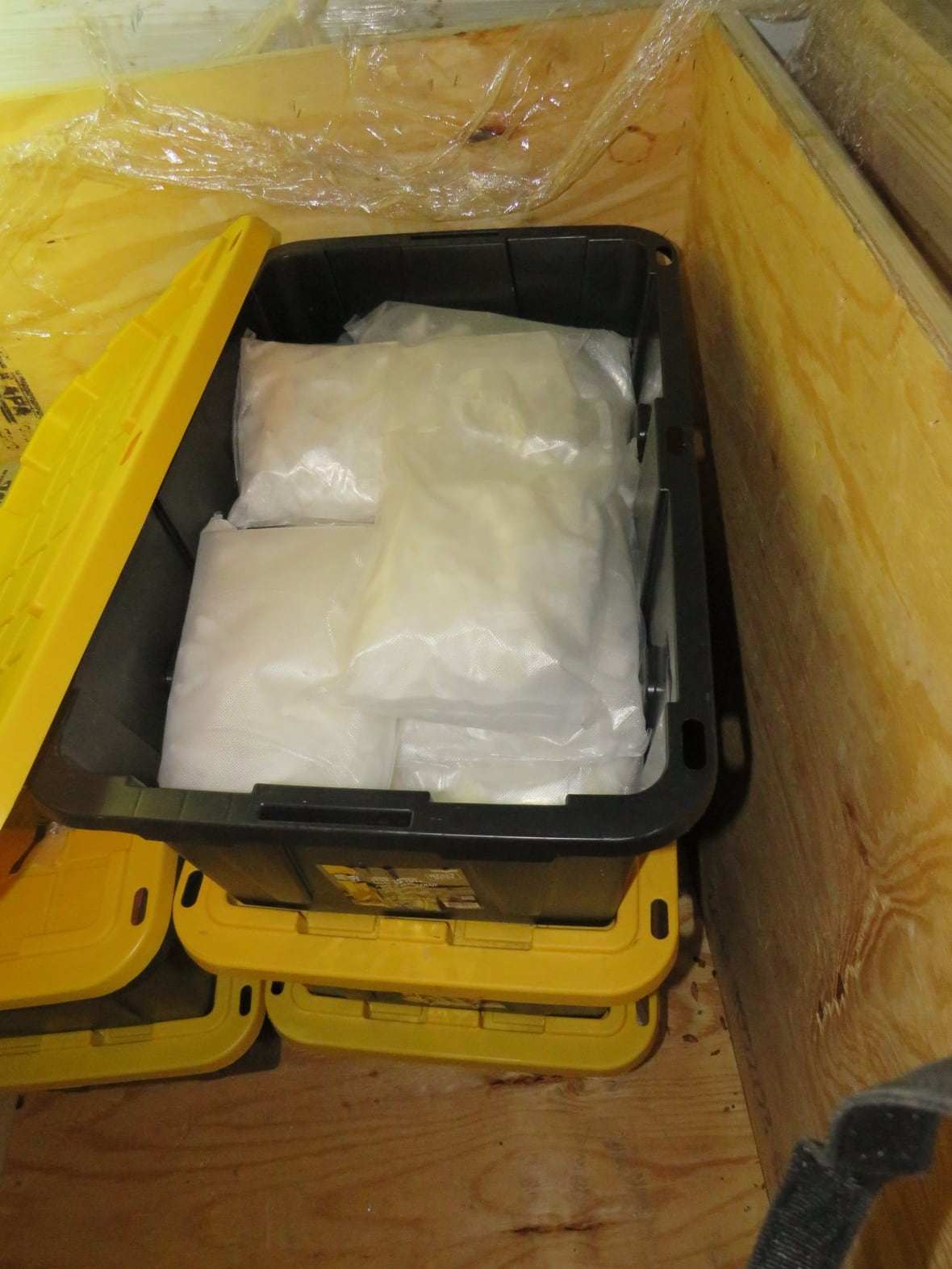 Toronto man given 16 years in prison for cross-border drug operation tells judge he wanted to get arrested