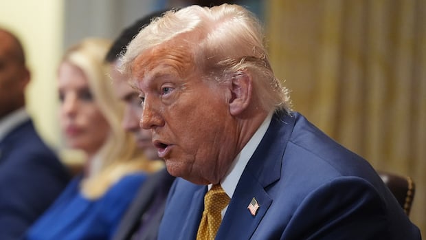 Trump says he will impose 50% tariff on copper