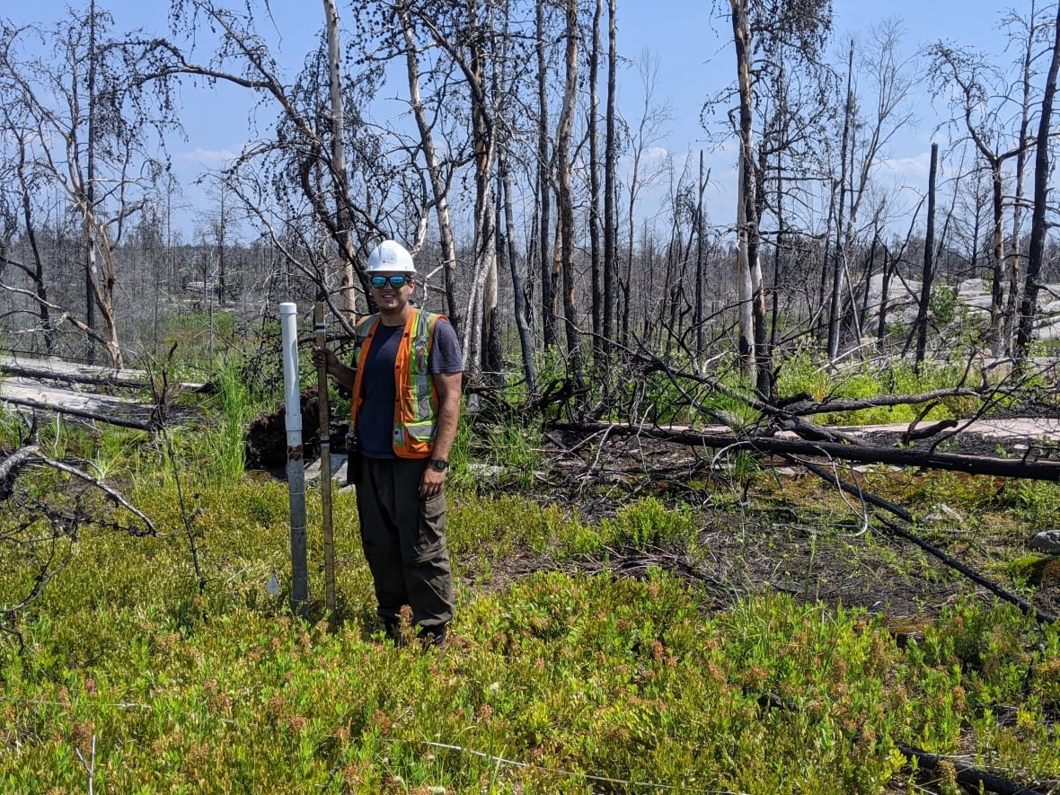 Wildfires send Canada's carbon emissions soaring. And our peatlands emit even more