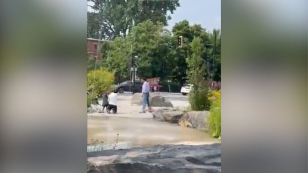 23-year-old charged with assaulting Jewish man at Montreal park