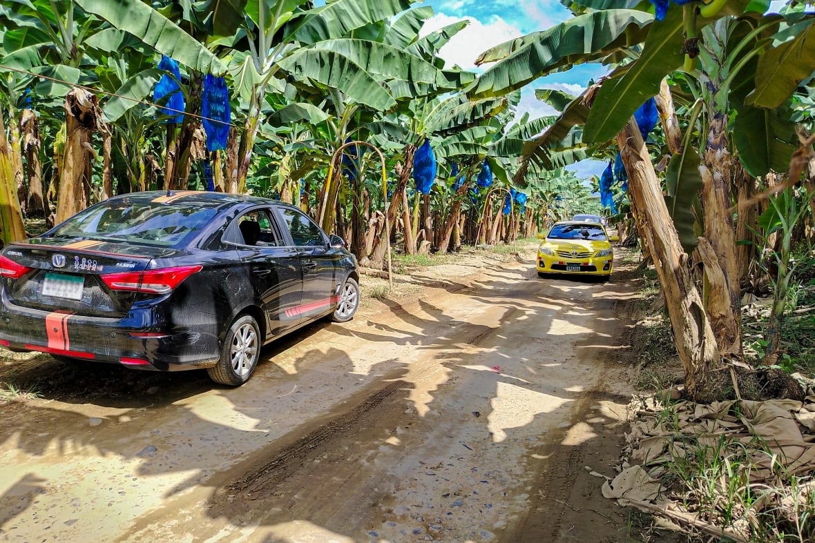 A-peeling news for banana workers as Chiquita operations to resume in Panama