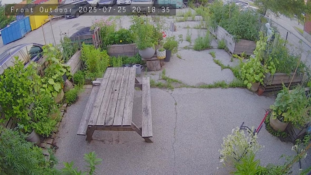 A theft, sting and apology: How these Toronto cyclists got their stolen bikes back
