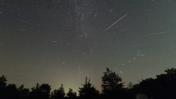 Attention stargazers! It's time for one of the best meteor showers of the year â the Perseids