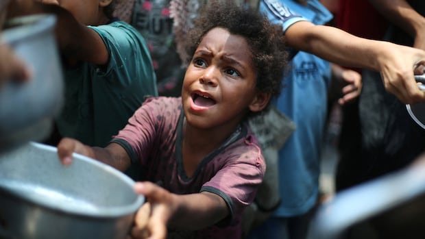 Canadian aid part of Gaza airdrop after Israel loosens restrictions