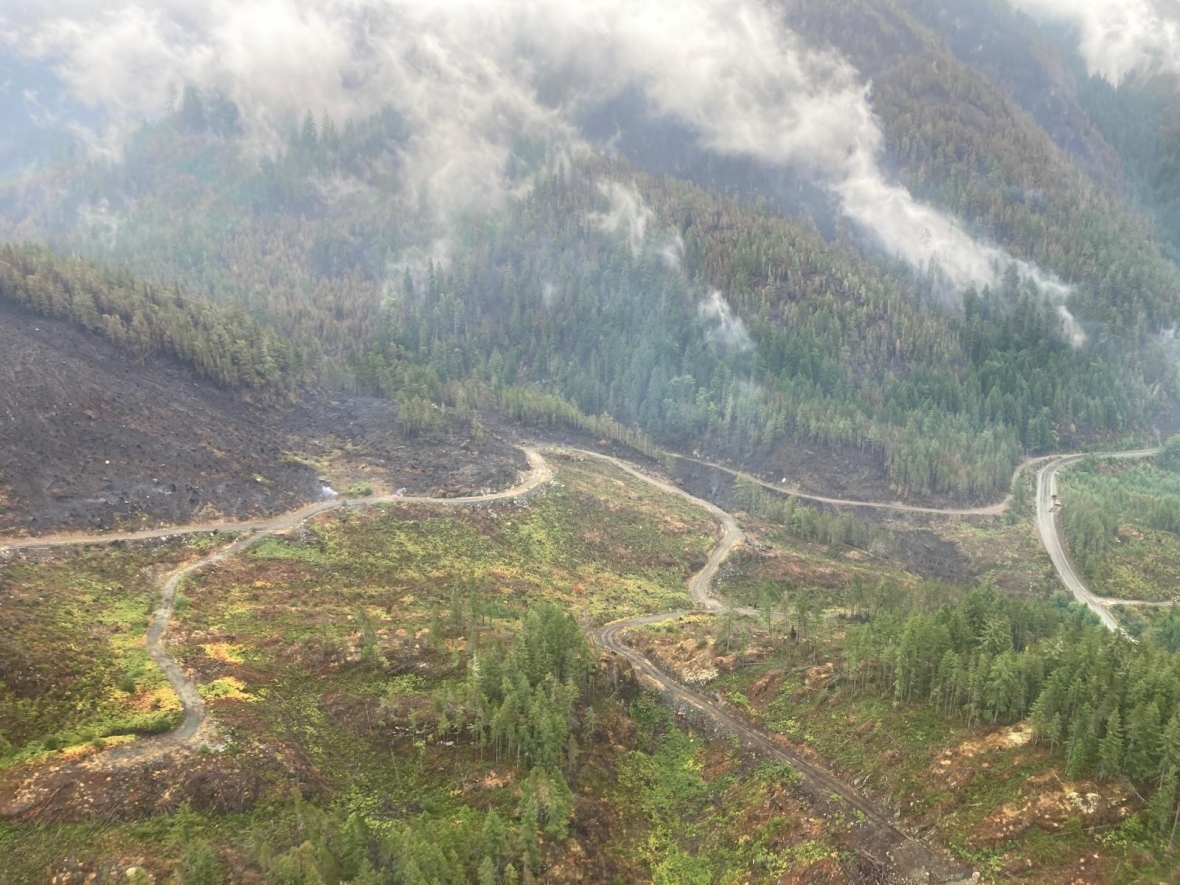 Cautious optimism after rain helps quell wildfire near Port Alberni, B.C.