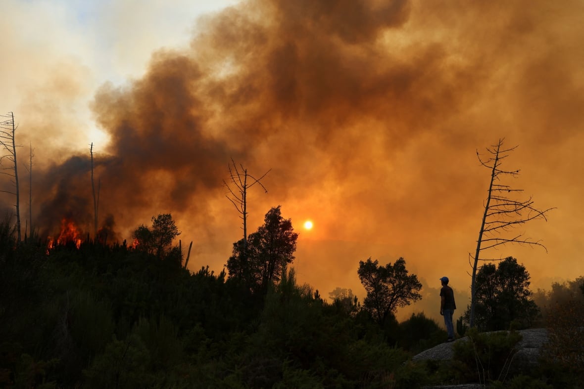 Heat wave hampers fight against wildfires in Spain, Portugal, Greece