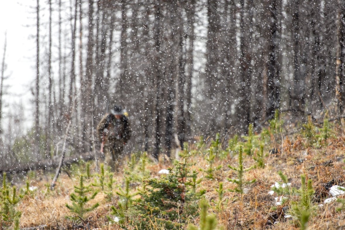 I learned to confront difficult truths about life by photographing Dad's last days and hunting
