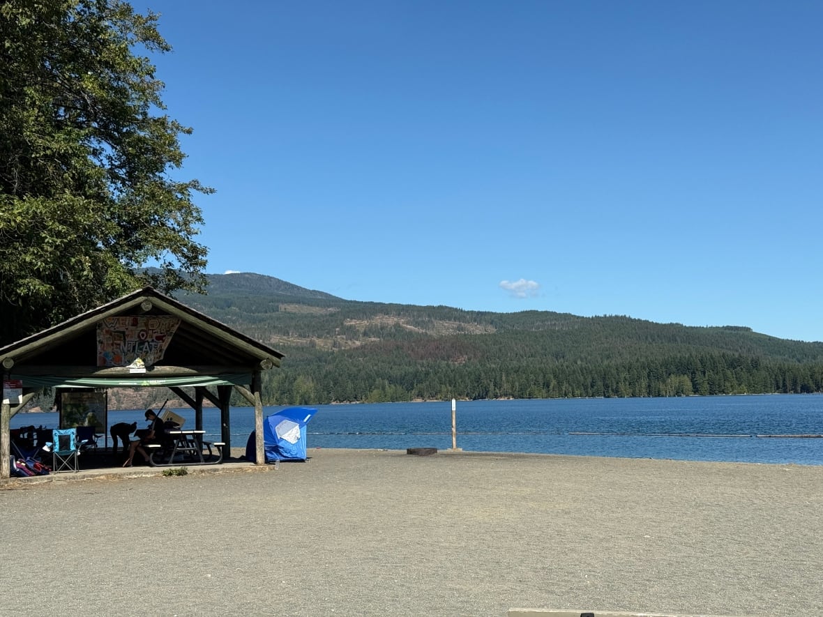Mother, 5-month-old child killed by falling tree on Vancouver Island