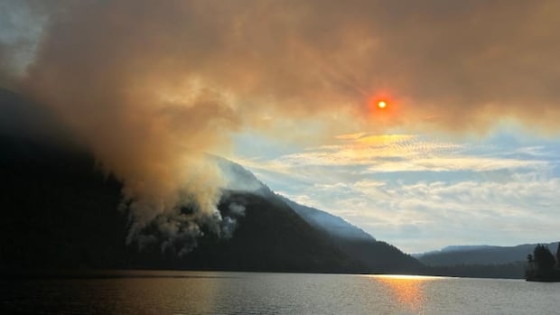 Number of active wildfires in B.C. doubles in 24 hours as thousands of lightning strikes recorded
