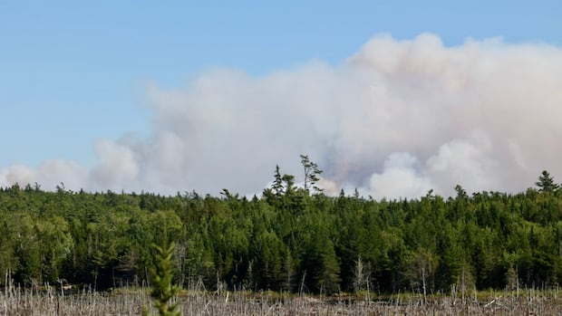 Pilot conscious after helicopter fighting wildfire crashes into N.S. lake