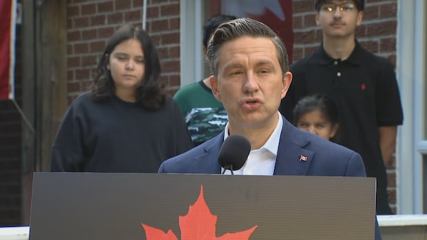 Poilievre's idea to amend Criminal Code wouldn't help Canadians acting in self-defence, law experts say