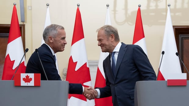 Poland's PM meets Carney, pledges logistical support to Ukraine â but rules out peacekeepers