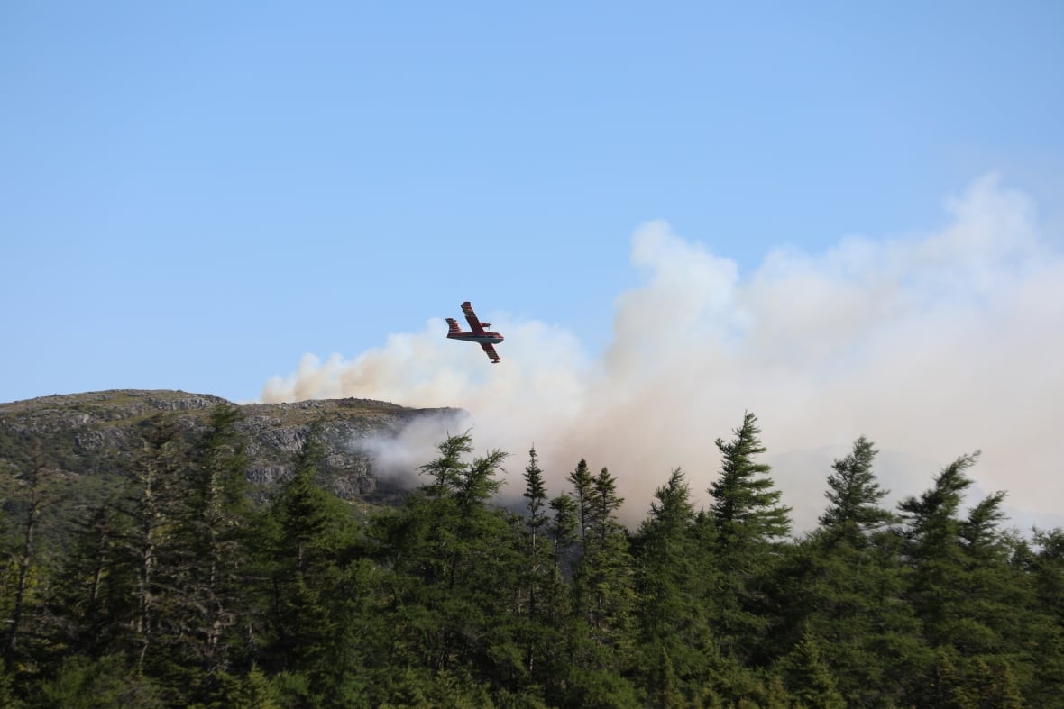 Police investigate wildfires as N.L. issues provincewide fire ban
