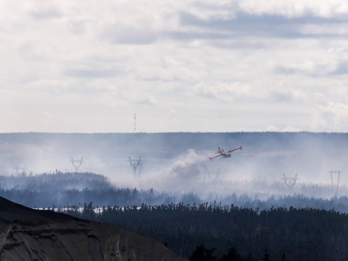Potential rainfall brings hopes for a 'good day' in N.L. wildfire fight