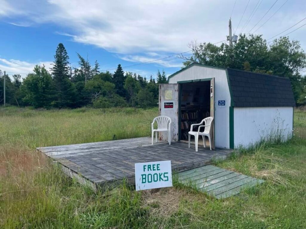 'She wanted them in the world': N.B. community maintains book shed after owner's death