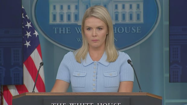 Some U.S. Republicans want Canada to axe its Online Streaming Act