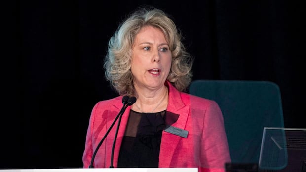 Trans Mountain board chair to lead new federal major projects office