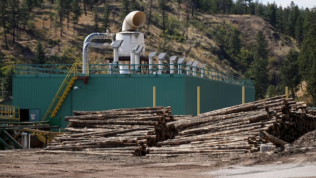Trump says imports of wood products may pose national security threat to U.S. â raising fears in B.C.