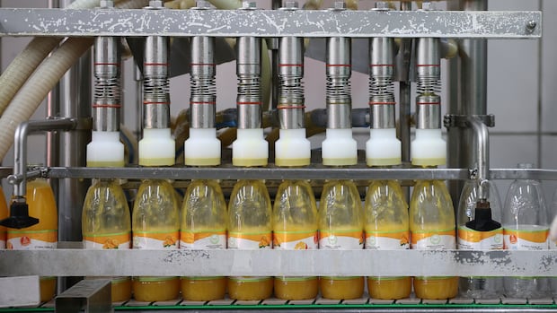 U.S. orange juice shipments plummet as Canadians find Florida OJ hard to swallow