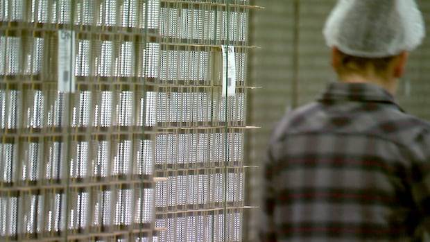 Why a Quebec food can maker reshored its supply chain back to Canada from the U.S.