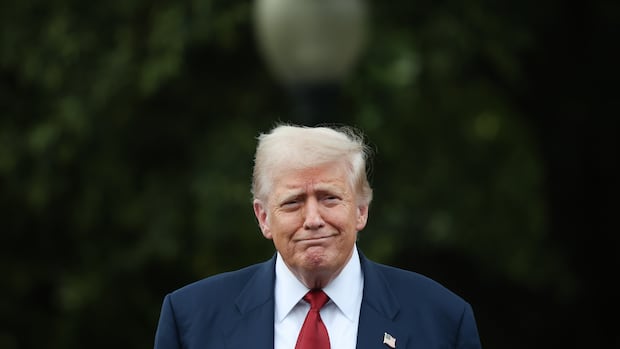 Why Trump's tariffs are unlikely to deliver the manufacturing jobs he claims