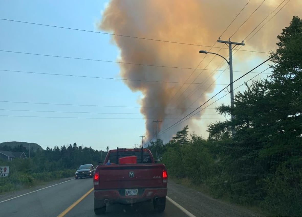 Wildfire evacuees urged to register as crews work to save buildings near Holyrood, N.L.
