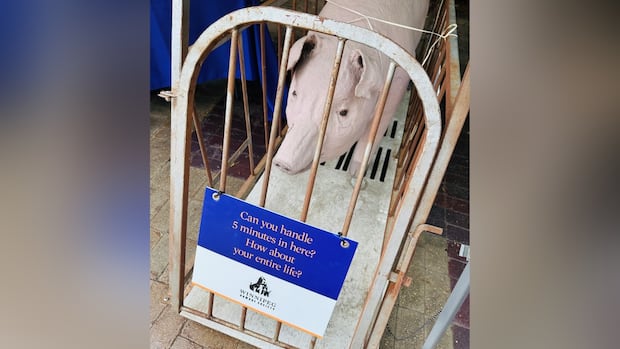 Winnipeg Humane Society asked to leave ag fair over papier mÃ¢chÃ© pig in human-sized cage