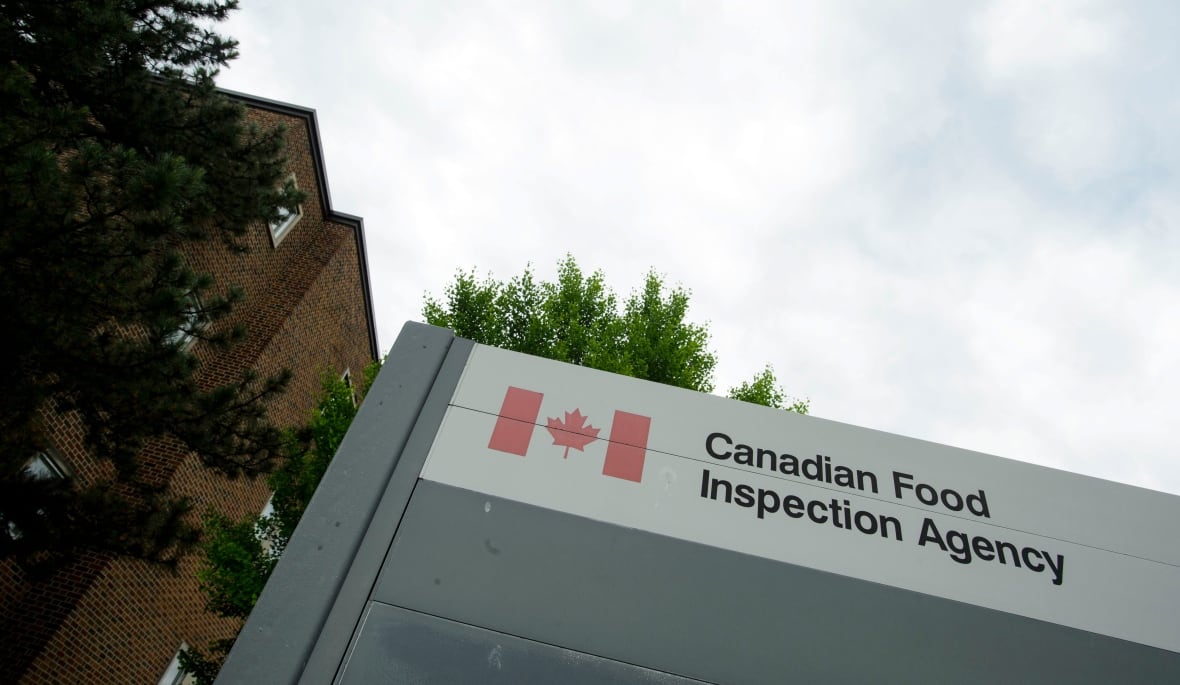 27 Canadians got sick in salmonella outbreak linked to unidentified dog food and treats