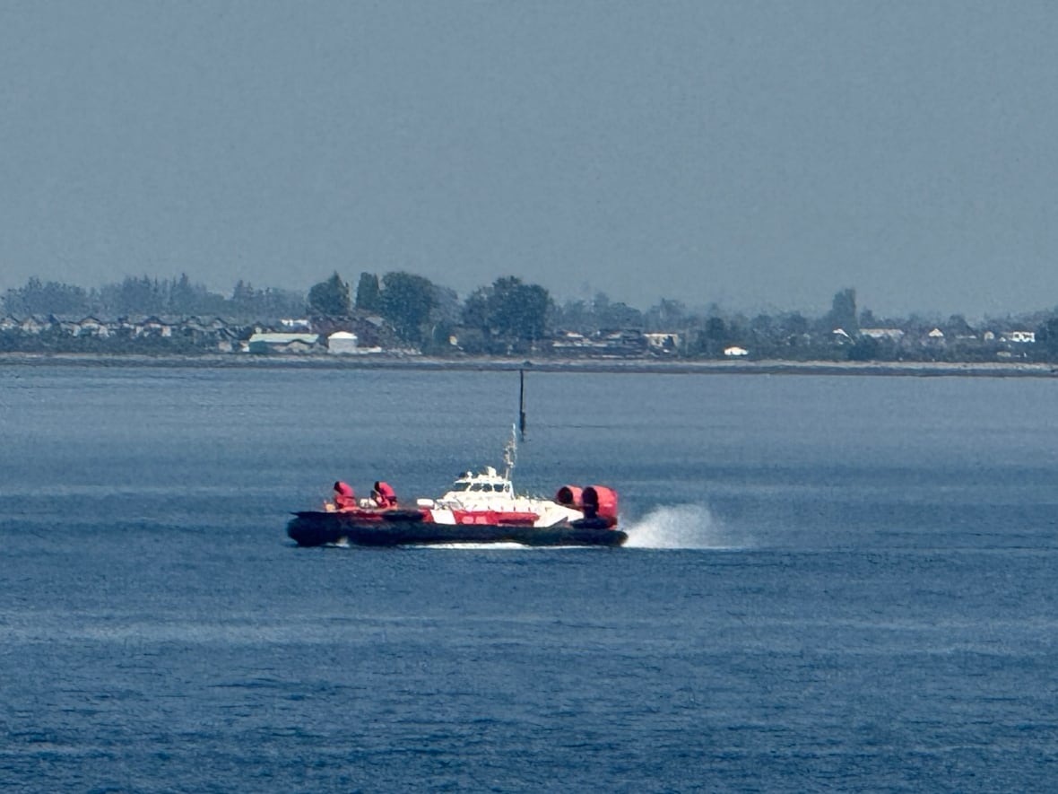 B.C. Ferries passenger rescued after going overboard