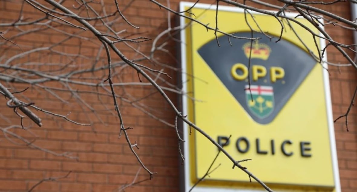 Backlog of Ontario police background checks leaves front-line worker out of a job