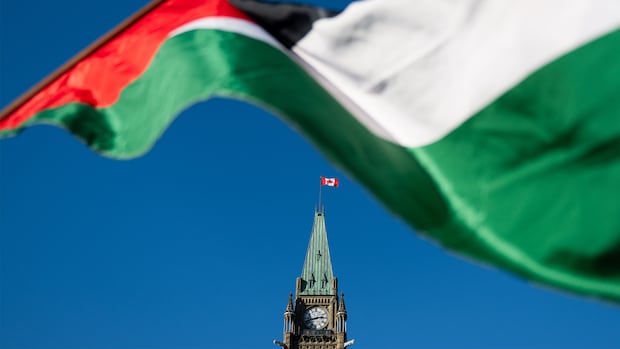 Canada recognizes a Palestinian state. Israel condemns it. What does that mean for Palestinians?