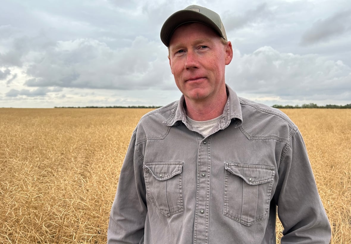 Canola farmers feel the pinch as tariffs threaten profits