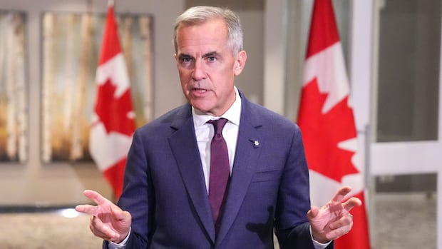Carney doesn't expect immediate tariff relief after 'good conversation' with Trump