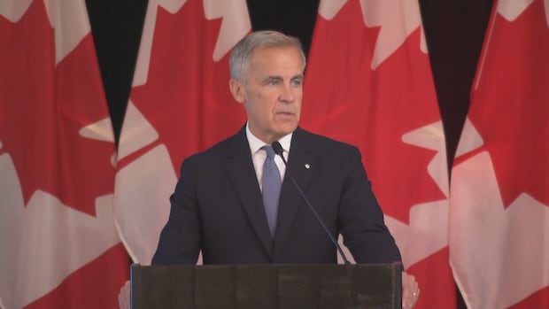 Carney says diversifying trade relationships with Europe, Asia among key fall objectives