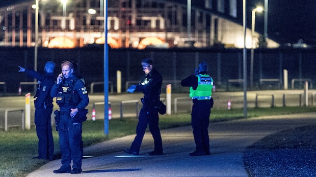 Denmark bans drone flights after fresh drone sightings at military bases