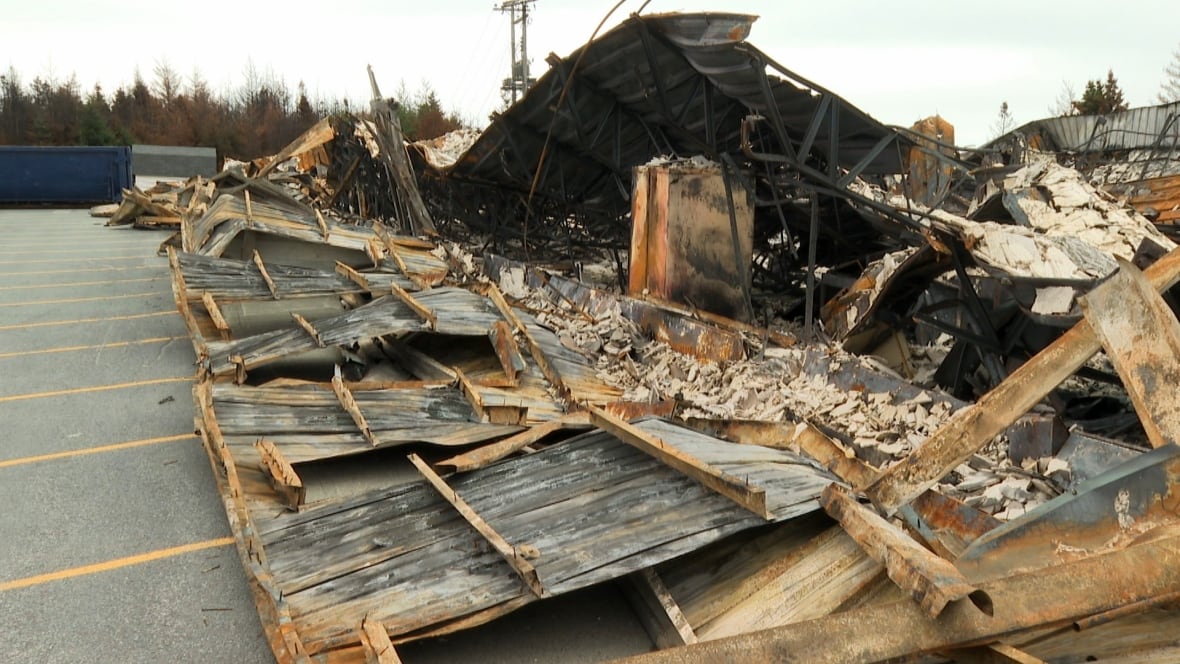 Meet the new journalists bringing CBC News closer to you