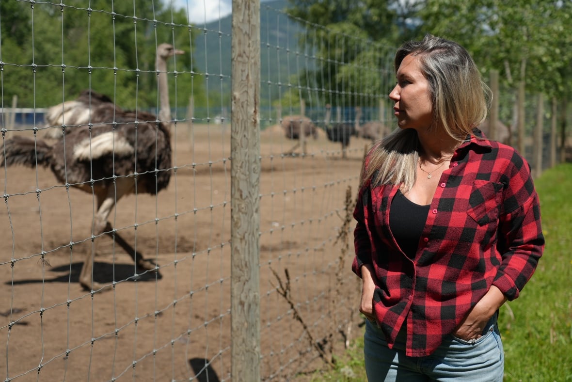 New analysis indicates higher lethality of avian flu at B.C. ostrich farm: CFIA vet