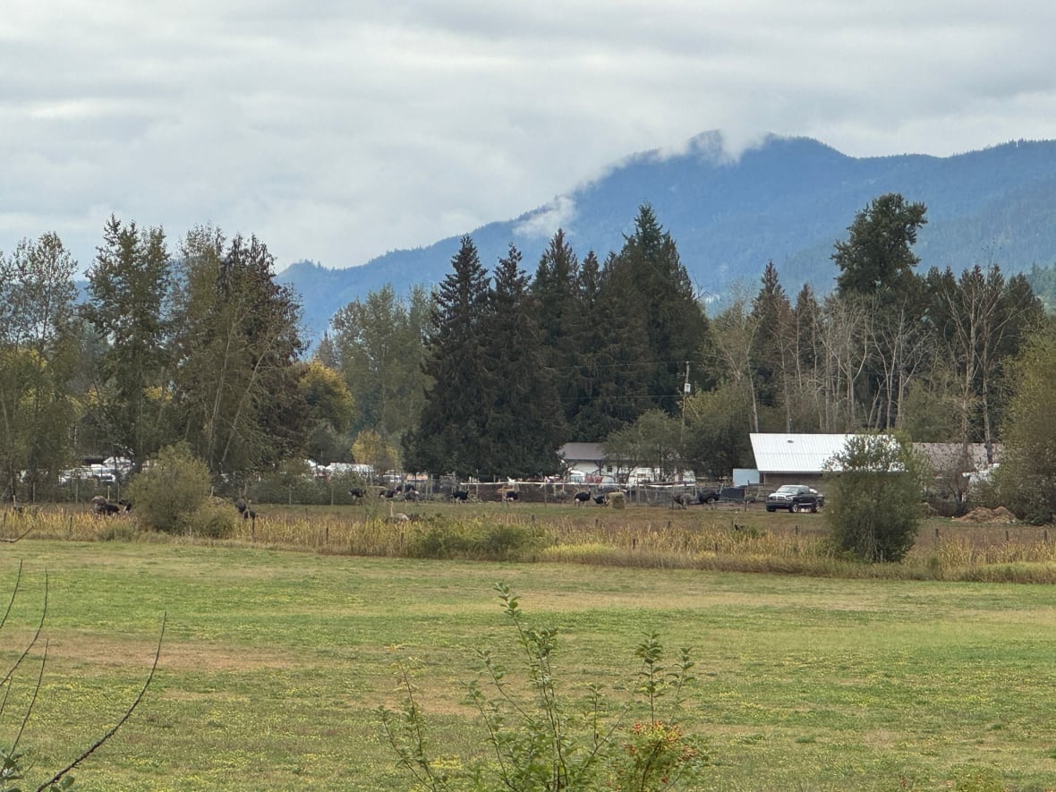 Ostrich farm owners, supporters ordered to leave property as CFIA prepares for cull