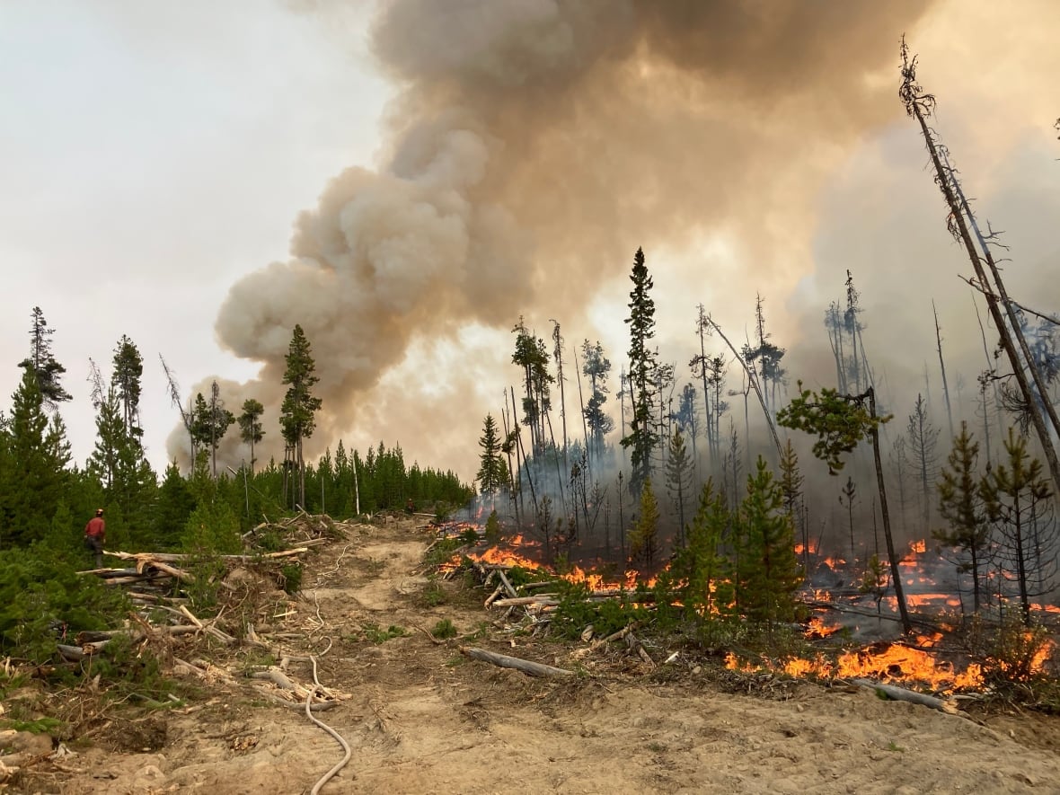 Over 1,000 properties on evacuation order as wildfires rage in B.C.'s Chilcotin region