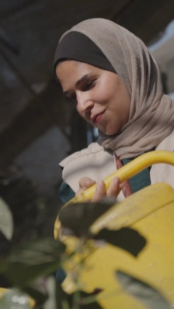 Planting seeds among rubble â how Palestinians are desperately trying to stave off famine and starvation