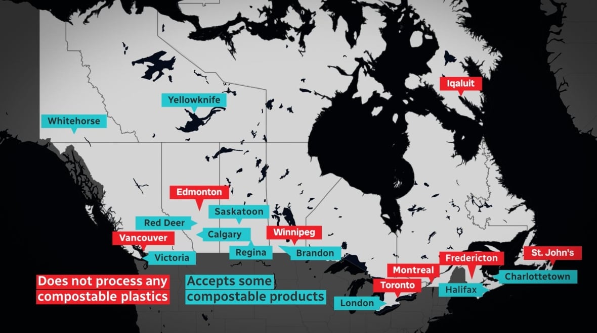 Putting single-use plastic alternatives to the test: CBC's Marketplace cheat sheet