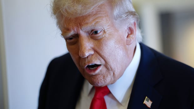 Sarah McLachlan cites 'muzzling' of free speech as she cancels performance at U.S. film premiere