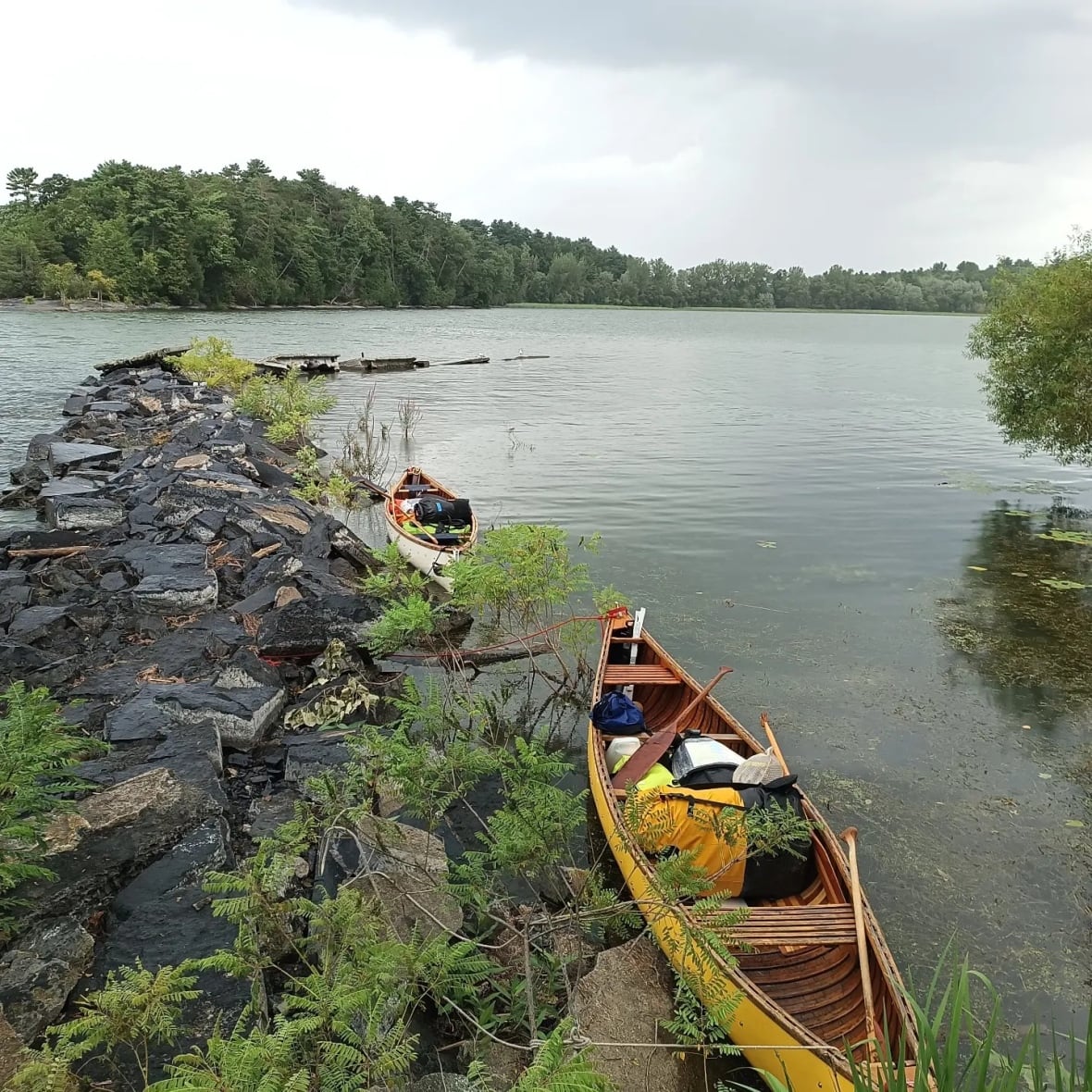 This family ended a 9-year canoe trip crossing Canada at the Atlantic Ocean â greeted by belugas