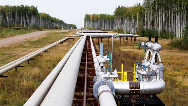 Alberta energy minister directed to pursue pipelines, boost oil production