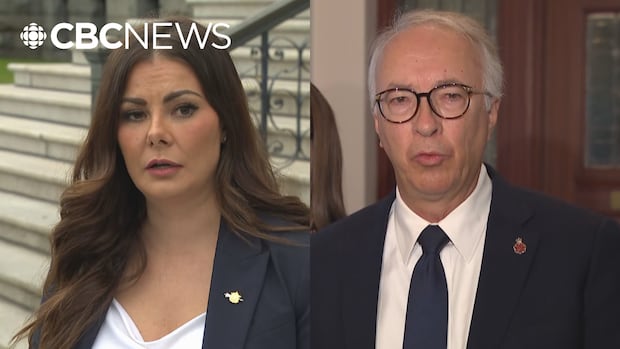 B.C. Conservative leader faces backlash over handling of MLA's departure