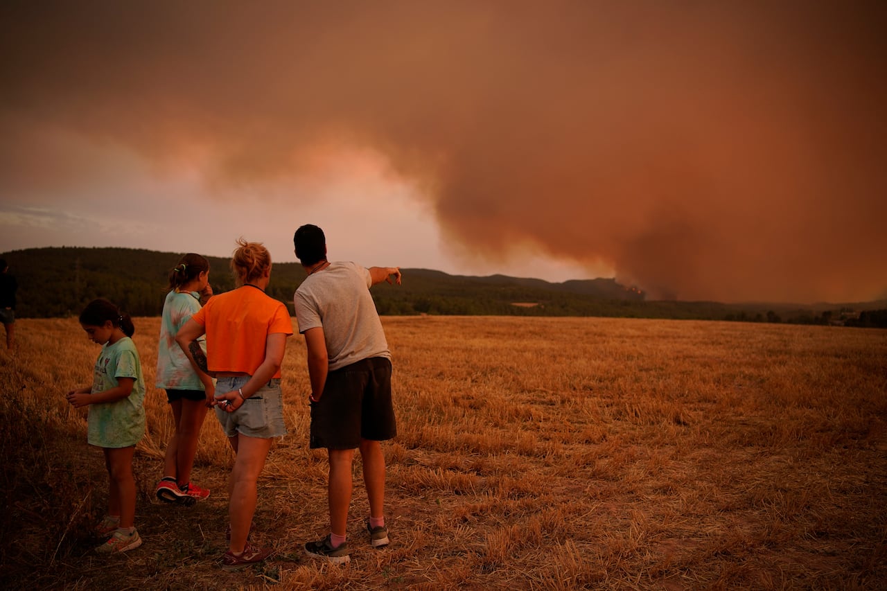 CO2 in the atmosphere has reached highest level in 800,000 years: WMO report