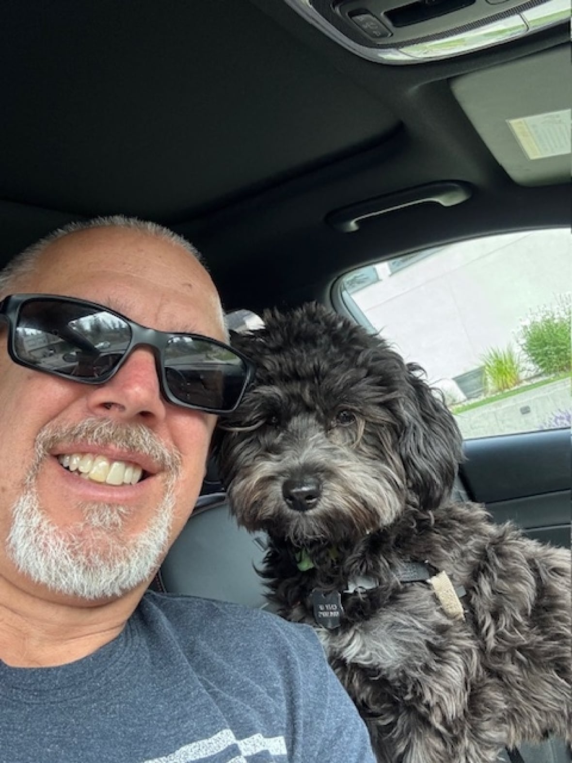 Fostering a chaotic but lovable puppy helped me grieve
