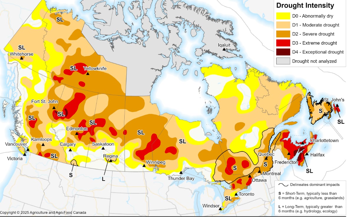 Parts of Nova Scotia, New Brunswick experiencing once-in-50-year drought