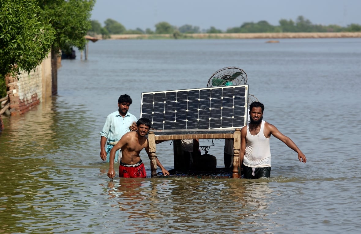 Renewables become biggest source of electricity globally for 1st time, beating coal
